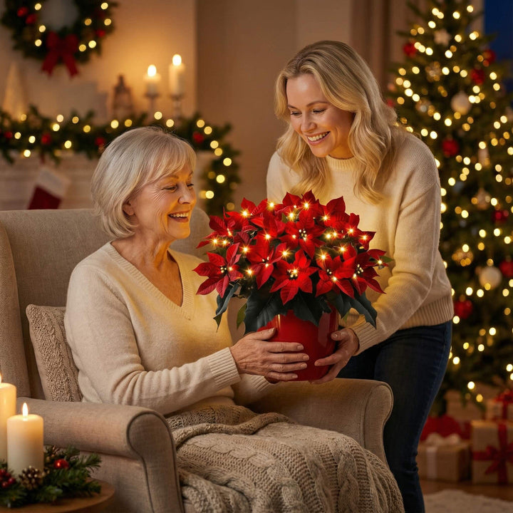 Estrella de Navidad Rubí Radiante