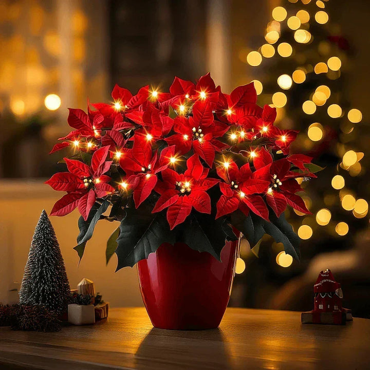 Estrella de Navidad Rubí Radiante